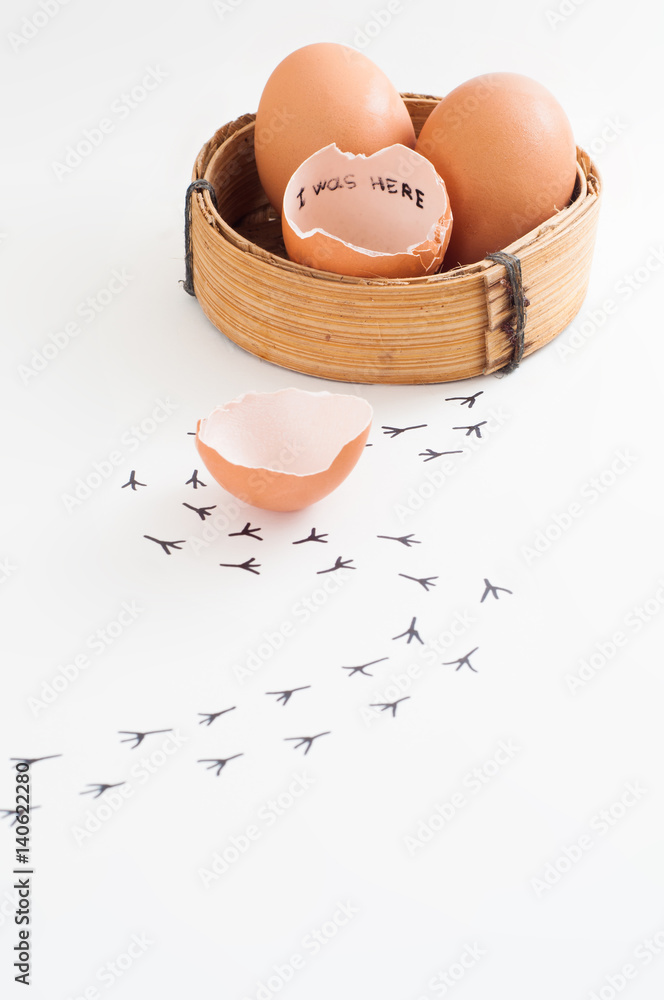 I was here text write inside broken chicken egg shell. New born chick run away. Footprints on floor I was here text write inside broken chicken egg shell. New born chick run away. Footprints on floor