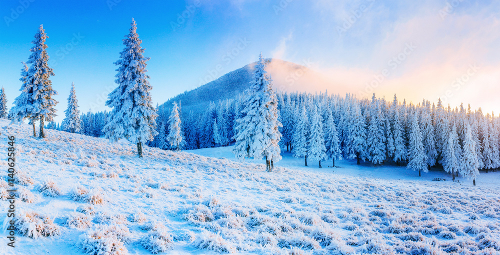 Obraz premium starry sky in winter snowy night. fantastic milky way in the New