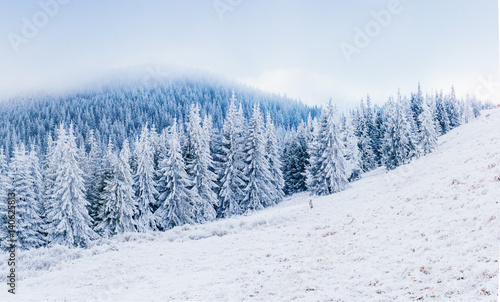 starry sky in winter snowy night. fantastic milky way in the New