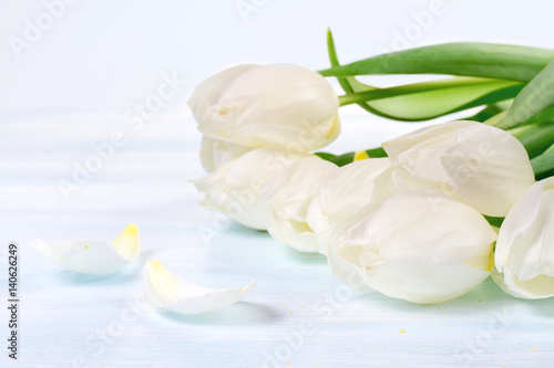 white tulip on blue wooden table