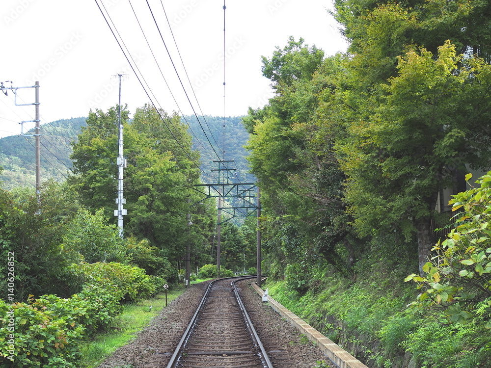緑に囲まれた線路