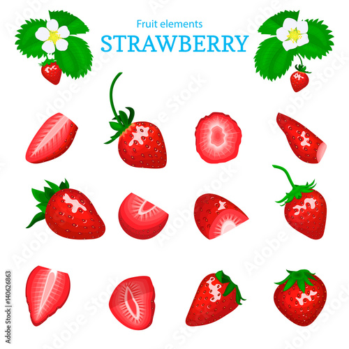 Vector set of a fresh red strawberry. Berry cut, piece of half slice leaves, flower. Collection of ripe strawberry fruits for packaging design of juice, breakfast, jam label, ice cream, smoothies