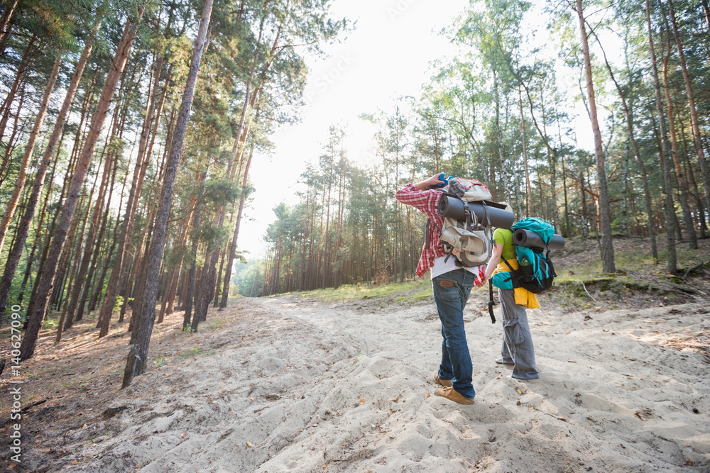 Obraz premium Rear view of hiking couple holding hands while walking in forest