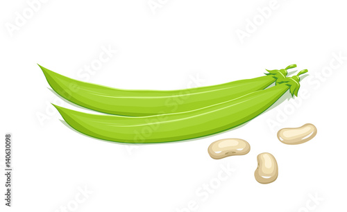 Bean and pods. Haricot Natural food. Isolated white background.