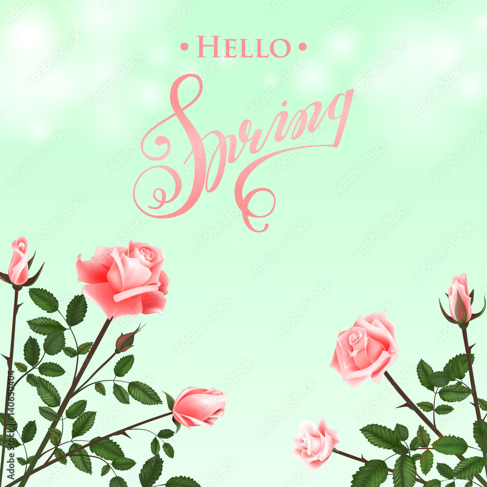 Hello Spring Background with Roses. Hand Drawn Lettering.