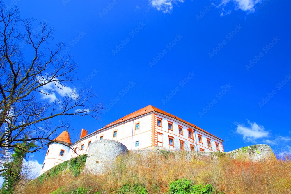 Beautiful castle on hill, blue sky in background