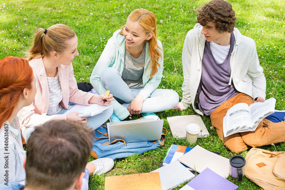 University friends studying together on grass University friends studying together on grass