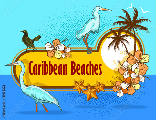 pajaros del caribe