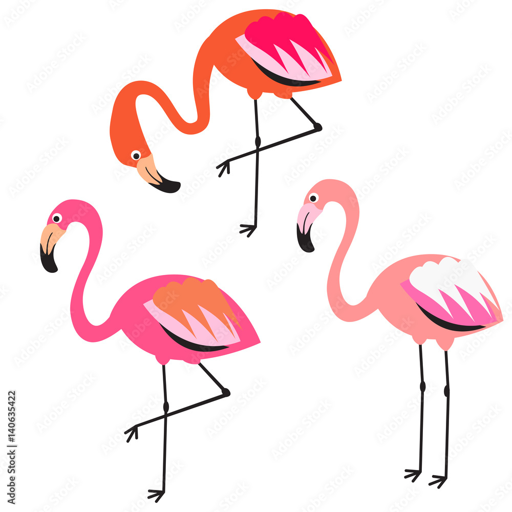 Obraz premium Flamingo flat style vector illustration. Pink coral exotic birds for stickers, stationery and fabric print.