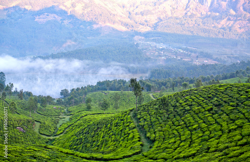 Tea plantations in Munnar, Kerala, South India photo