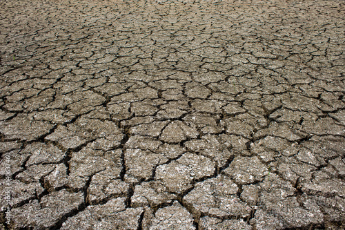 Dry cracked ground filling the frame as background