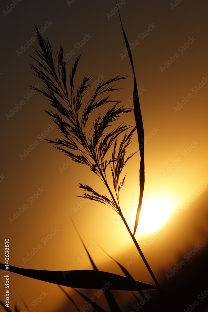 Obraz premium Gün Batımı