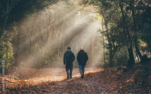 Autumn walk through the woods
