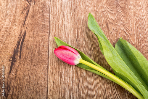 Violet tulips on a wooden background