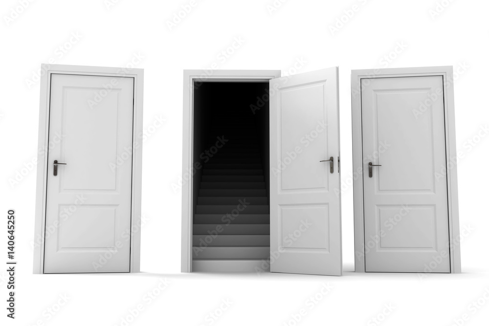 Naklejka premium To choose correct doors.