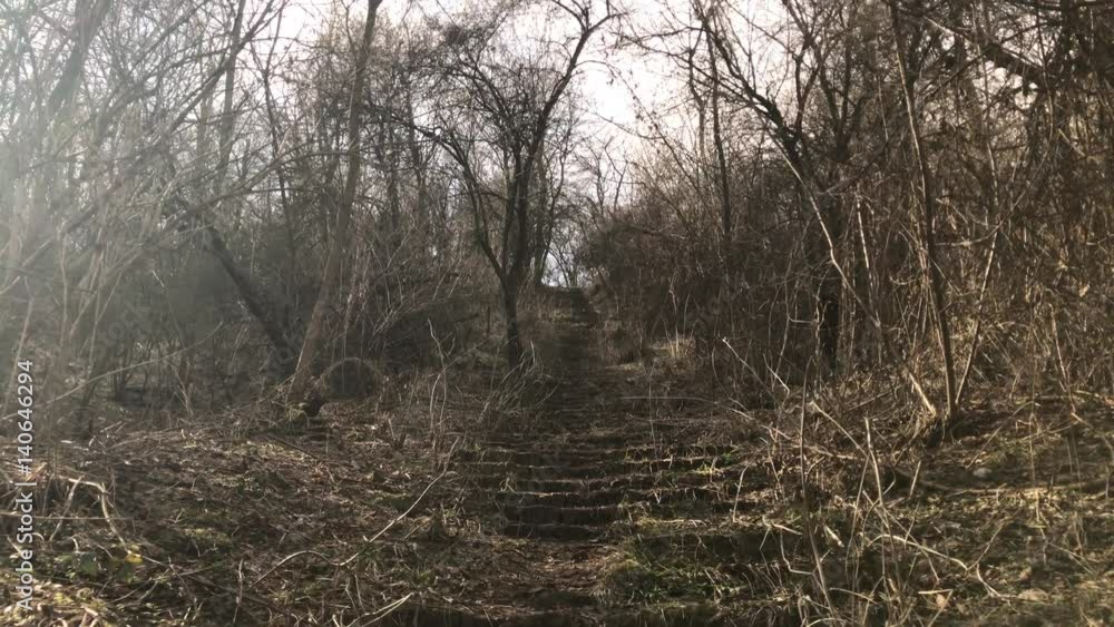 Abandoned buiding stairs nature POV 4K 2160p 30fps UltraHD footage - Weathered ancient scary stairways in the forest Abandoned buiding stairs nature POV 4K 2160p 30fps UltraHD footage - Weathered ancient scary stairways in the forest