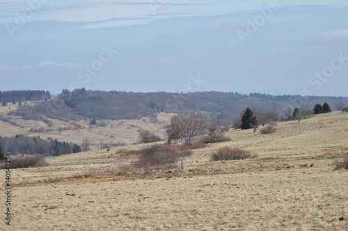 Moor- und Heidelandschaft