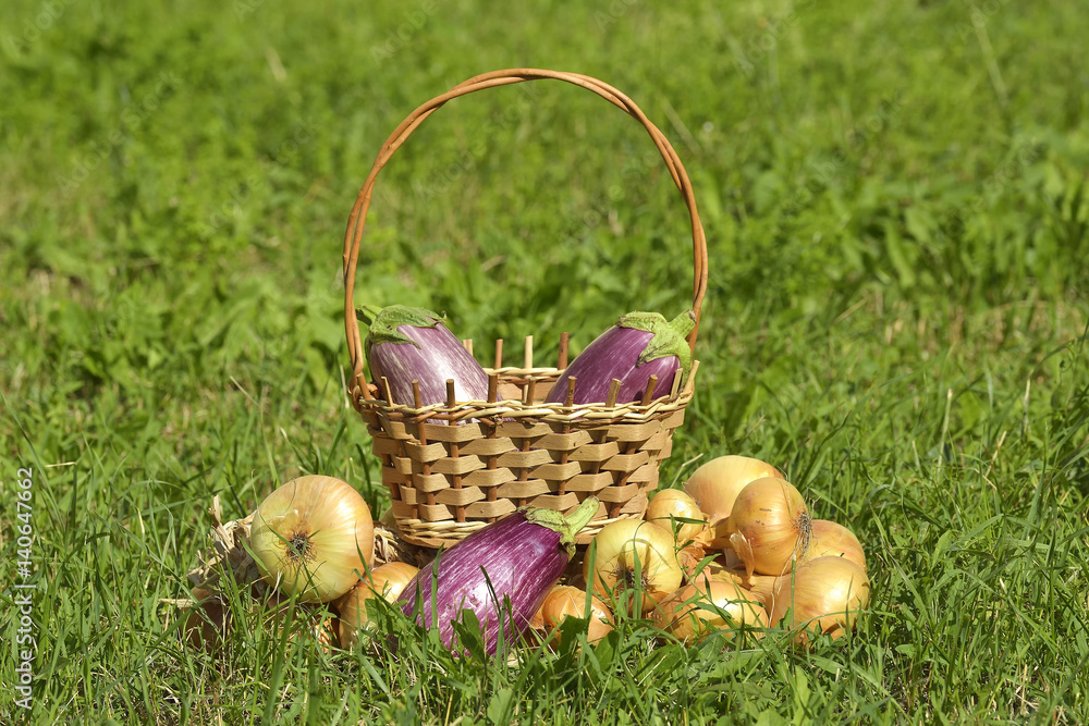 Graffiti eggplants in a basket and onion on grass
