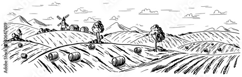 Rural landscape field wheat in graphical style. Hand drawn and converted to vector Illustration.