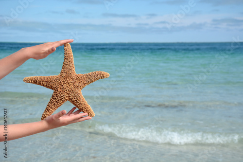 child holding a starfish at the beach