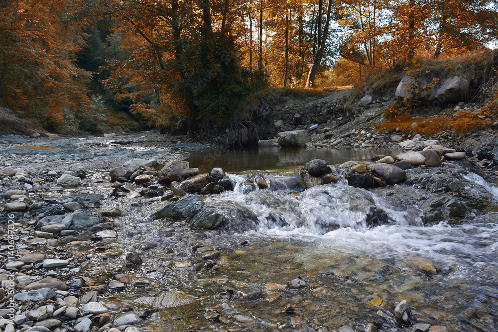 Beautiful wild autumnal forest with small stream or wild river and colorful fallen leaves. Polish forest in autumn. Dark forest Beautiful wild autumnal forest with small stream or wild river and colorful fallen leaves. Polish forest in autumn. Dark forest