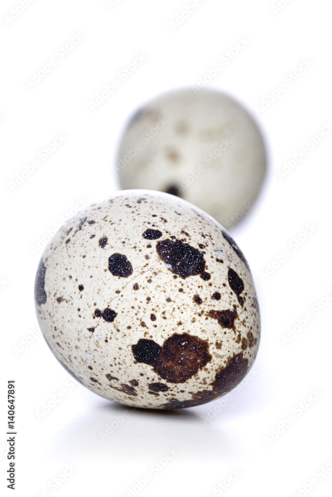 Obraz premium Quail eggs - studio shot