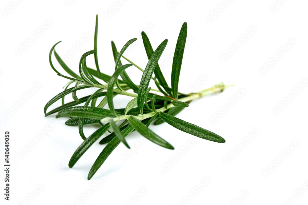 Fototapeta premium Close-up of rosemary on white background