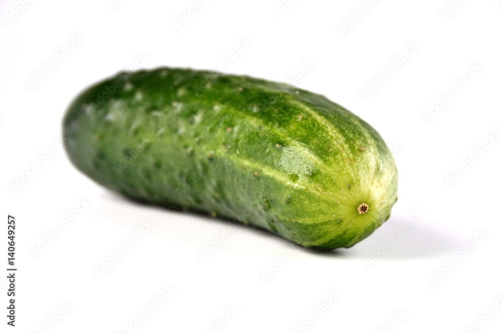 Studio shot of cucumber on white background Studio shot of cucumber on white background
