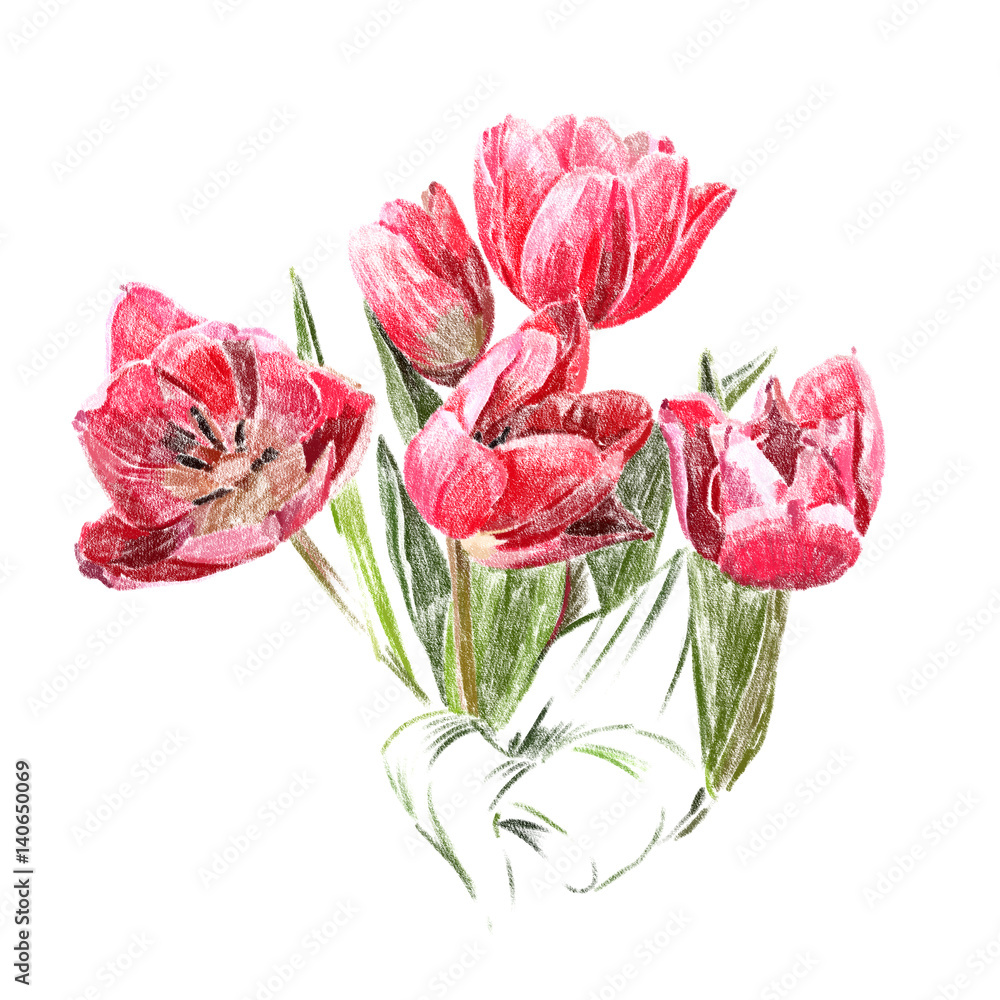Fototapeta Kwiaty. Czerwone tulipany.