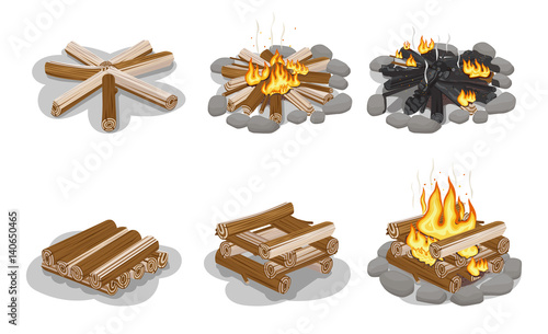 Gathered Firewood Collection for Making Bonfire