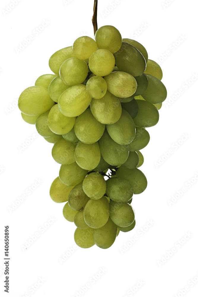 Studio shot of grapes on white backgroud Studio shot of grapes on white backgroud