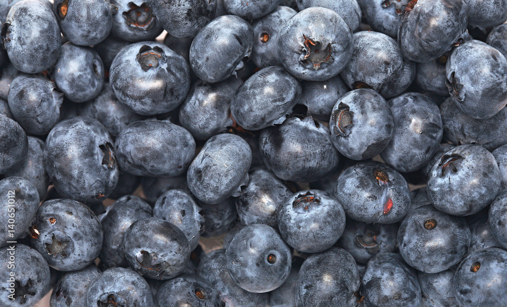 Blueberry Blueberry