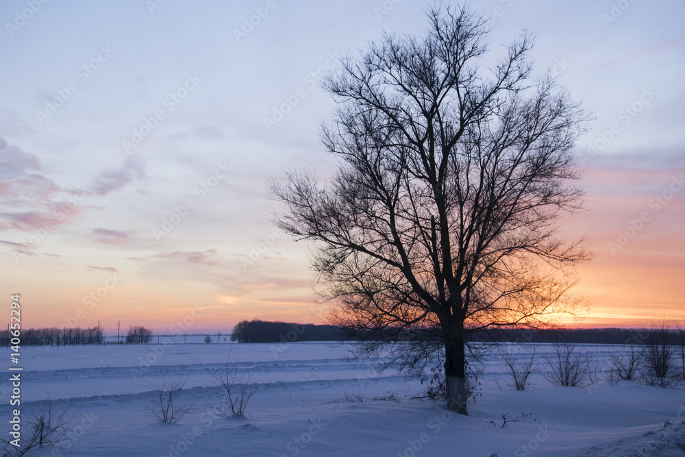 Sunset in the winter . Sunset in the winter .