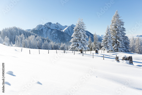 Winterlandschaft in Schnee. Alpen, Österreich