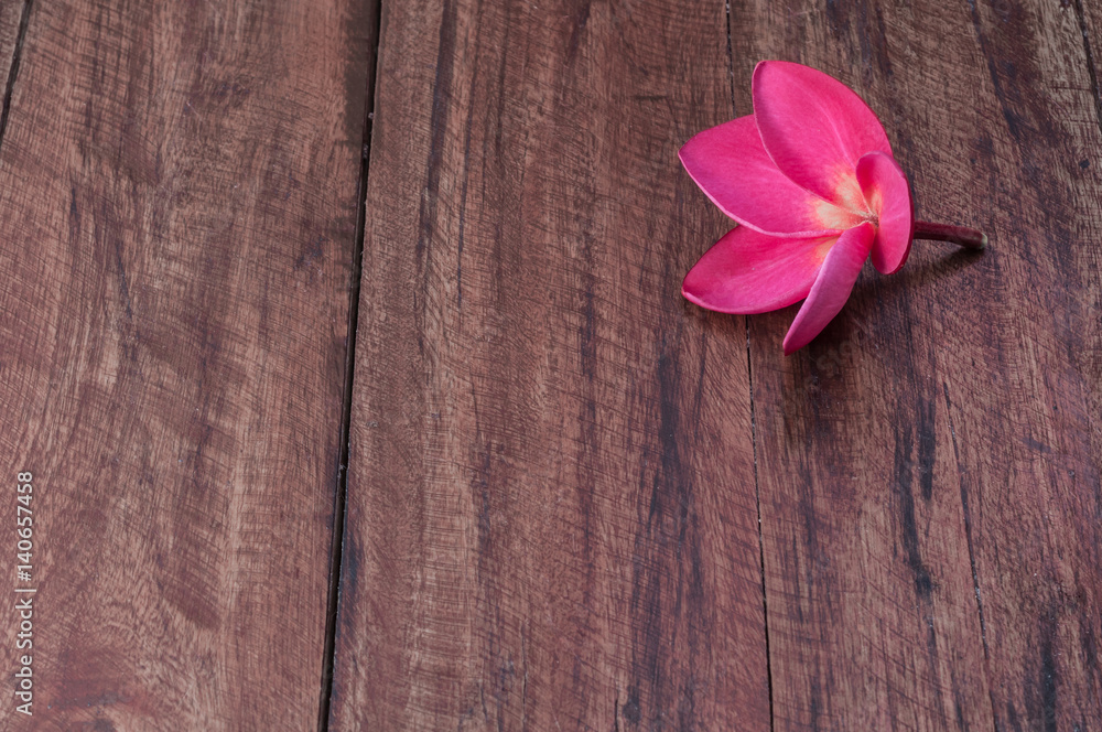 Dark pink plumeria flower on wooden desk