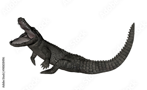 Crocodile roaring up - 3D render