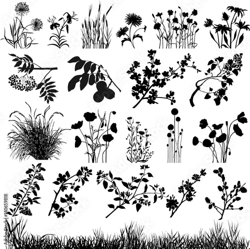 Plants desing elements