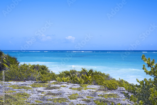 Fototapeta Naklejka Na Ścianę i Meble -  the Caribbean Sea and white wave beach under blue sky in Tulum, Yucatan Peninsula, Mexico, green grasses foreground, text space copy space