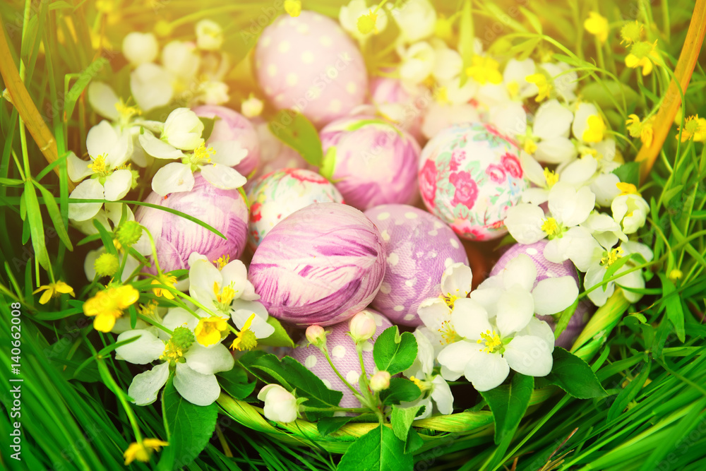 Fototapeta premium basket with Easter eggs on a background of green grass and delicate spring flowers branch of apple blossoms. 