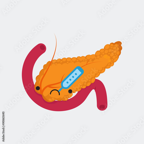 Pancreas vector illustration