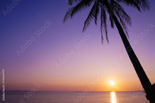 Palm Tree Silhouette on Purple Sunset Background