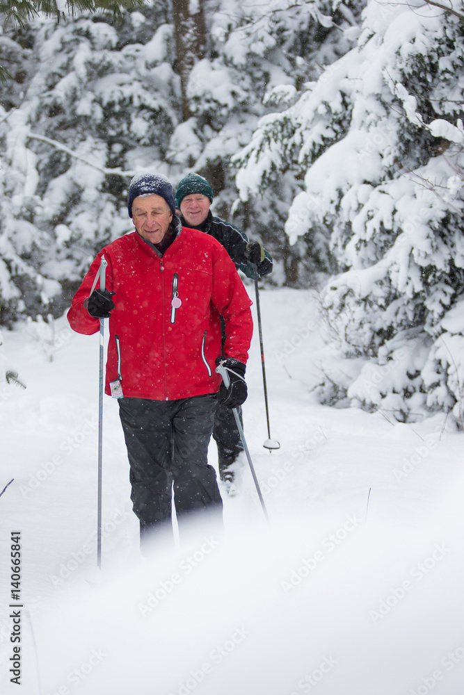 seniors in winter on snow with skis cross-country skiing