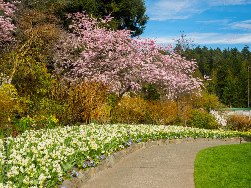 Obraz premium Paved walkway in the spring garden