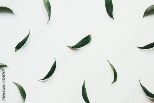 Green Leaves Pattern On White Background