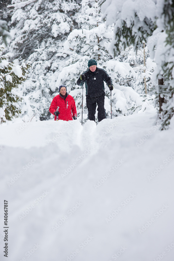 seniors in winter on snow with skis cross-country skiing