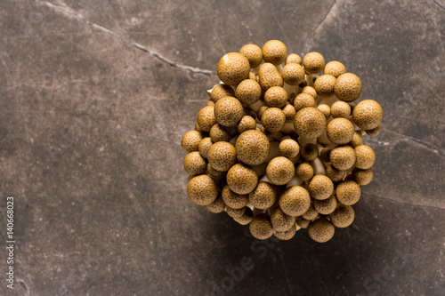 Fototapet Brown Shimeji Mushrooms as Fungi Food Background