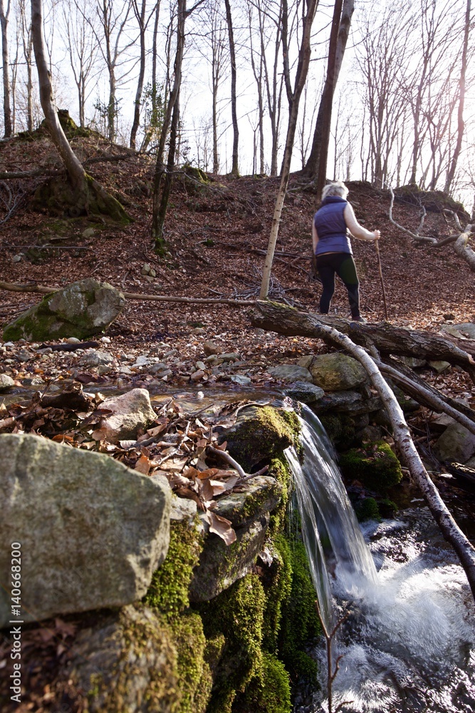 Fototapeta premium Trekking nel bosco invernale
