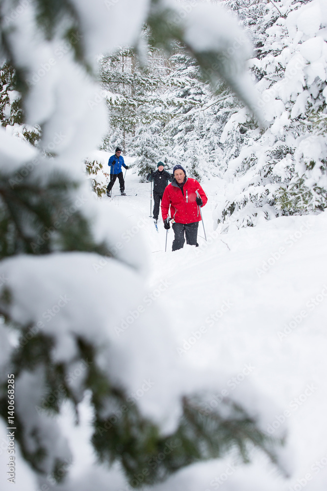 seniors in winter on snow with skis cross-country skiing