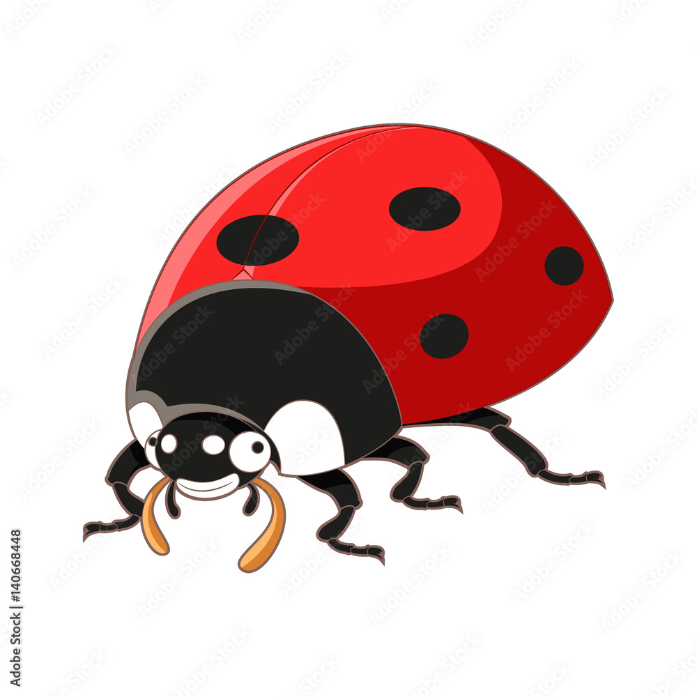 Fototapeta premium Cartoon smiling ladybird