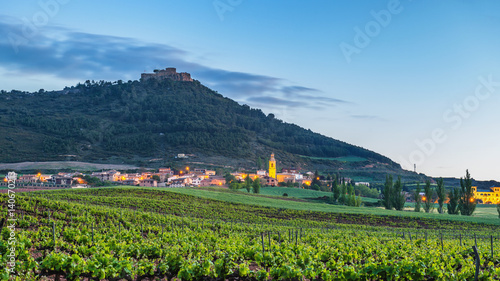 Quadro su tela The Village Villamayor de Monjardin at sunrise - Navarre, Spain